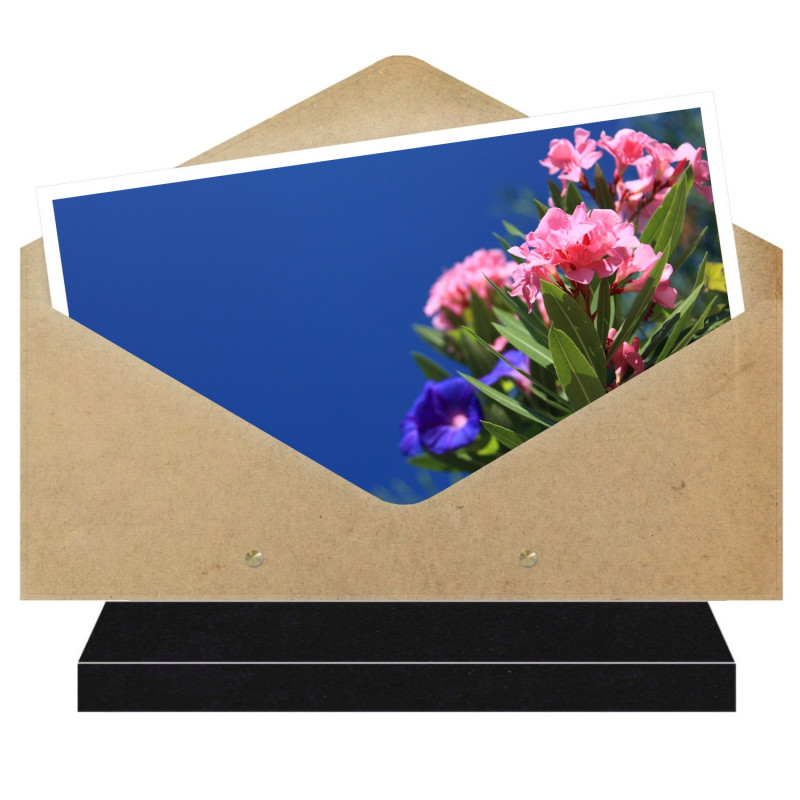 PLAQUE FUNÉRAIRE ENVELOPPE THÈME FLEURS FPFNX035